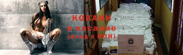 гидра Елабуга