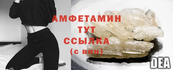 гидра Елабуга