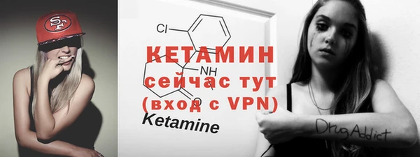 ешки Ельня