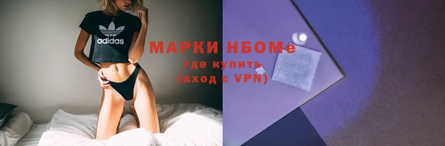 гидра Елабуга