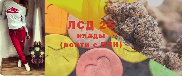 ешки Ельня