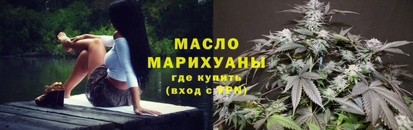 гидра Елабуга
