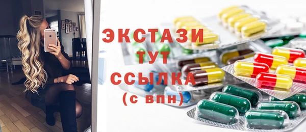 гидра Елабуга