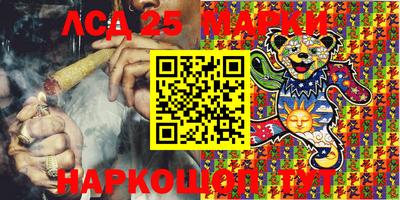 индика Ирбит