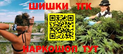 индика Ирбит